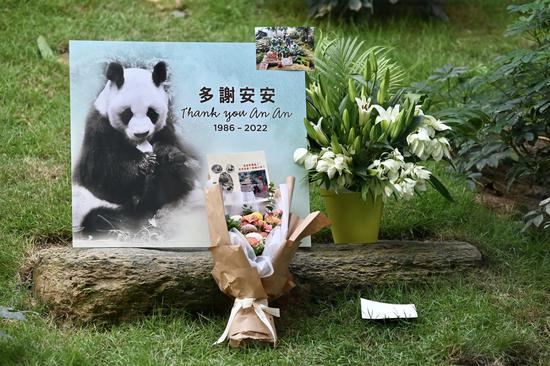 World's oldest male giant panda dies at 35 in Hong Kong
