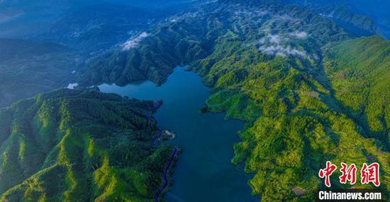 Photo shows the scenery of the Qianjiangyuan National Forest Park. (Photo/Hu Siyi)