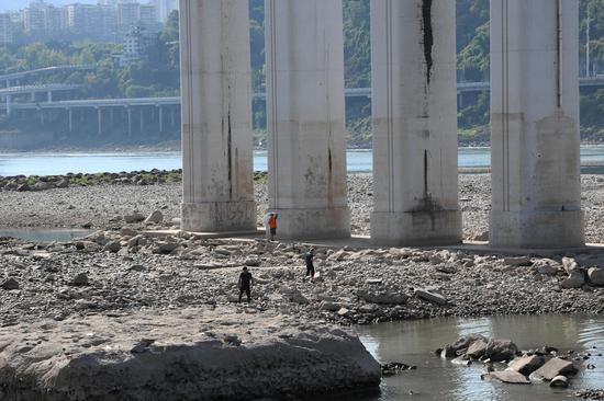 High temperature brings drought in flood season in Chongqing