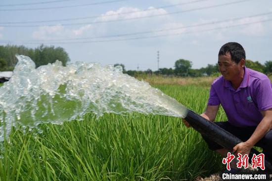 A farmer irrigates crops in Feixi County, Anhui. (Photo/China News Service)