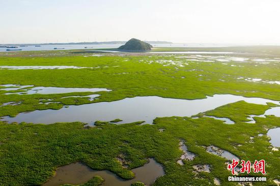 China’s largest freshwater lake, Poyang Lake, enters earliest dry season since 1951. (Photo/China News Service)
