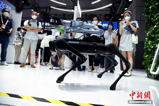 A robotic dog attracted the audience at the 2022 World Artificial Intelligence Conference held in Shanghai in September, 2022. (Photo by Tang Yanjun)