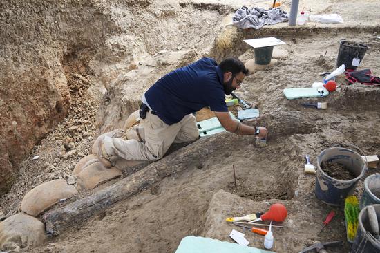 500,000-year-old giant elephant tusk discovered in Israel