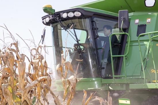 
Chinese Ambassador to the U.S. Qin Gang on Friday visits Warren Stemme Farm in a western suburb of St Louis, Missouri. Warren Stemme, the owner of the farm, and Qin are driving a combine harvester together to harvest corns. (LIAO PAN/FOR CHINA DAILY)