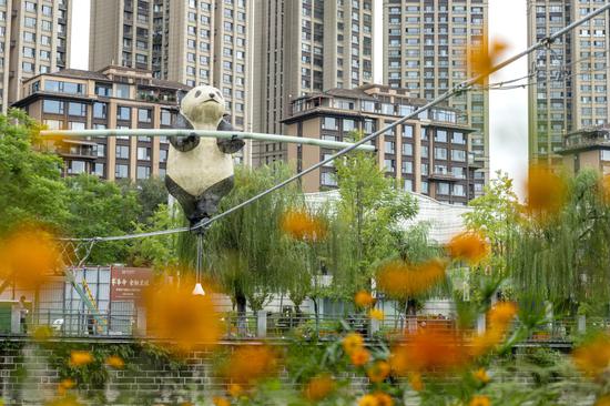 'Kungfu' panda 'walks' tightrope in Chengdu