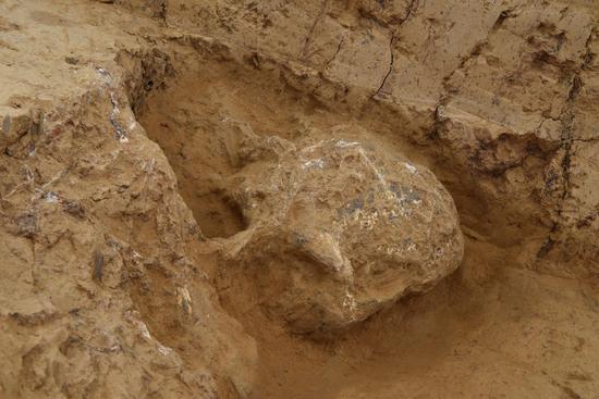 Million-year old human skull fossil discovered in central China