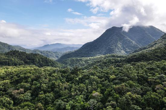 Aerial photo taken on May 19, 2022 shows a view of the Wuzhishan section of the Hainan Tropical Rainforest National Park in south China's Hainan Province. (Xinhua/Zhang Liyun)