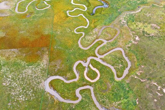 Aerial photo taken on Sept. 15, 2021 shows a river near the Qinghai Lake in northwest China's Qinghai Province. Located in the northeastern part of the Qinghai-Tibet Plateau, the Qinghai Lake is key to maintaining the ecological balance in western China. (Xinhua/Xing Guangli)