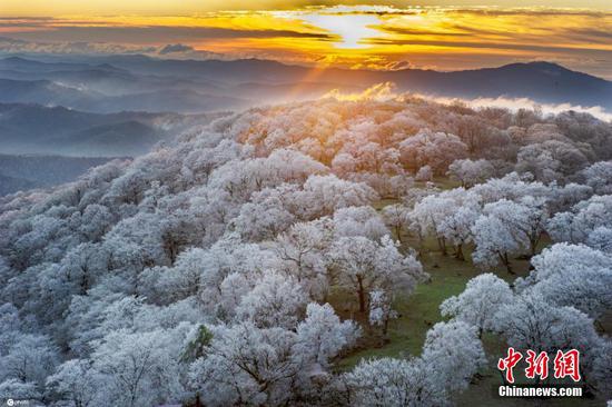 Rime scenery appears on Sifang Dingzi Mountain in NE China