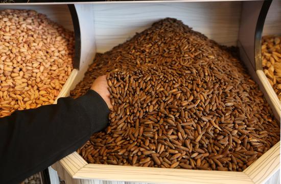 An Afghan man shows pine nuts for sale at his shop in Kabul, capital of Afghanistan, Nov. 14, 2018. (Xinhua/Rahmat Alizadah)