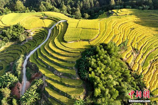 Picturesque scene of terraced fields in E China