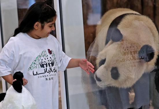 Giant pandas start new life in Qatar