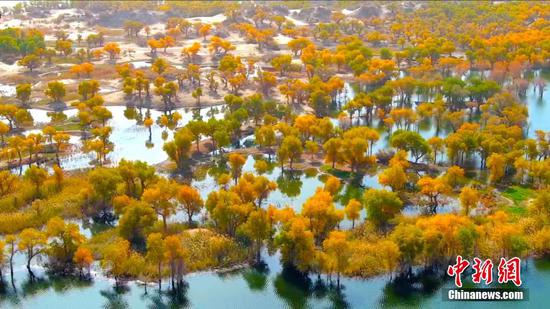 Lop Nur National Wetland Park a paradise for migratory birds in Xinjiang