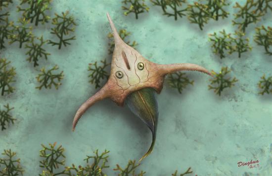 New data reveals 410-million-year-old horned cowfish