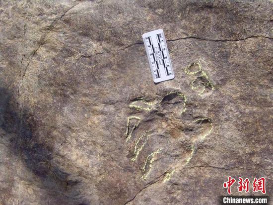 Photo shows a turtle footprint found in Zhucheng, East China's Shandong Province. (Photo provided to China News Service)