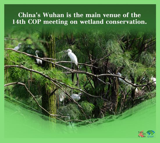 Wuhan, a city of wetlands