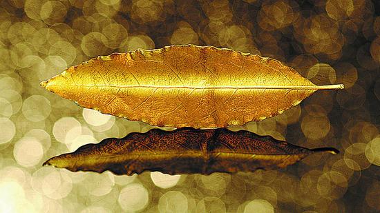 'Gold Leaf' from the Treasure collection. (Photo/China Daily)