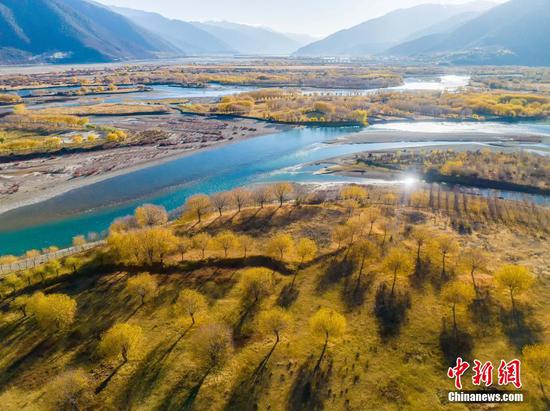 Winter scenery of Yani National Wetland Park in Tibet