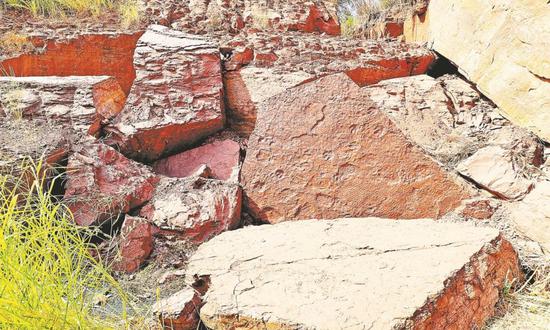 Large-area dinosaur footprints from Late Cretaceous have been discovered in Shanghang county in E China's Fujian Province. (Photo/A screenshot from Fujian Daily)