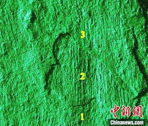 Earliest flower bud fossil from 1.25 million years ago discovered in China