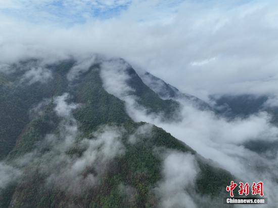 Cloud-shrouded Wuyi Mountain after rain