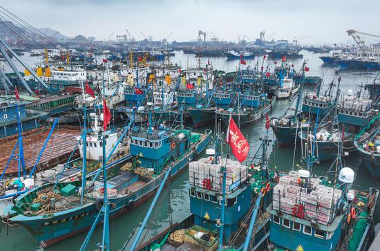 Fishing boats in east China return to harbor to avoid cold wave