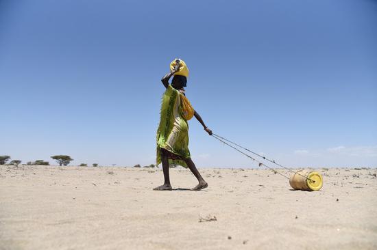 A woman transports jerrycans of water in drought-hit Turkana County, Kenya, on Oct. 11, 2022. (Photo by John Okoyo/Xinhua)
