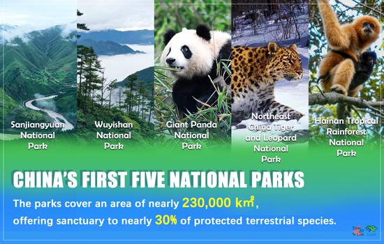 One-year-on: China's first five national parks  