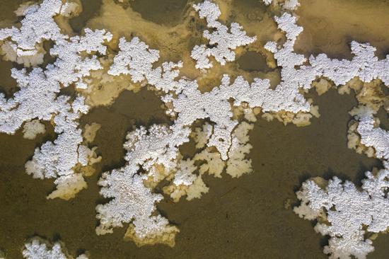 Salt crystals form on Salt Lake in Shanxi