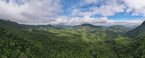 This aerial panoramic photo taken on May 19, 2022 shows a view of the Wuzhishan section of Hainan Tropical Rainforest National Park in Wuzhishan City, south China's Hainan Province. (Xinhua/Zhang Liyun)
