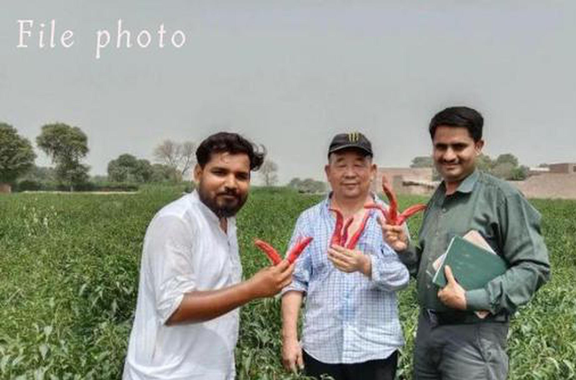 Pakistan-China red chili project to help uplift Pakistan's agriculture sector