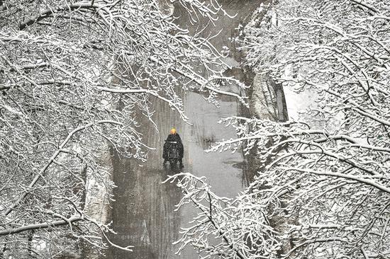 A scooter driver rides along a street lined with snow-dusted trees in Taiyuan, Shanxi province, on Sunday. (WEI LIANG/CHINA NEWS SERVICE)