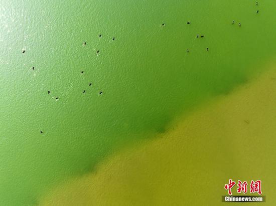 Two-color waters meet in Han River in Hubei