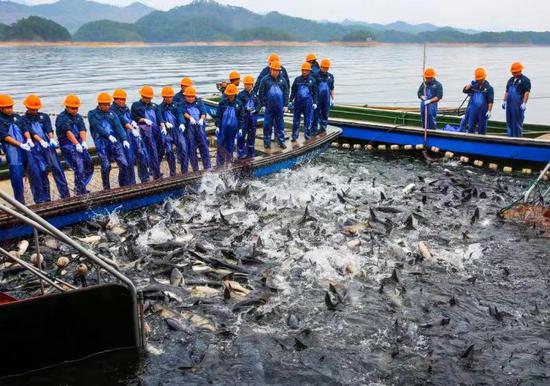 Fishermen mark 2023 first fish harvest in Zhejiang