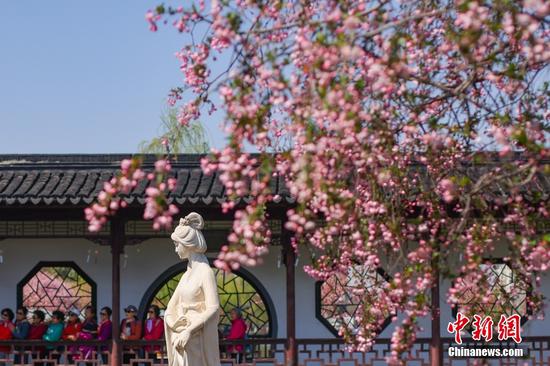 Flowering Chinese crabapple trees paint Mochou Park in Nanjing