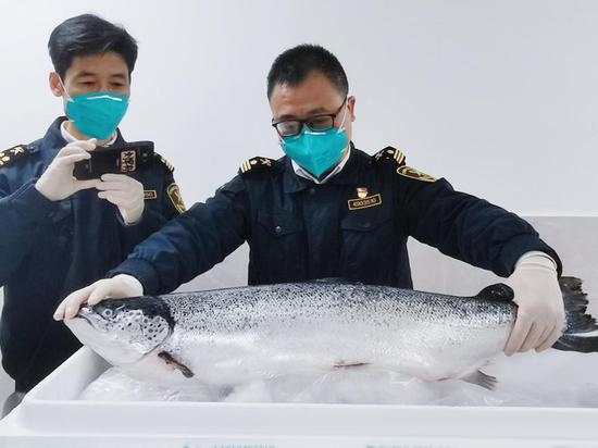 Chilled salmon from Chile arrives in Changsha