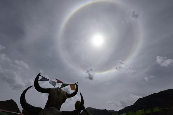 Solar halo observed over Lhasa
