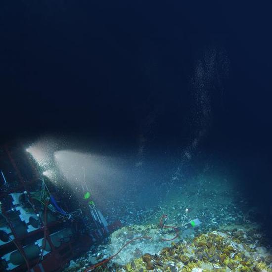 (Photo/Institute of Oceanology under the Chinese Academy of Sciences)