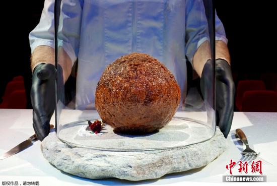 Meatball made with mammoth DNA unveiled in Amsterdam