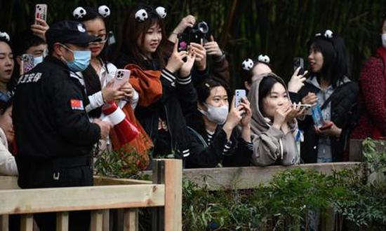 Tourist banned for a year after throwing water at panda in Chengdu