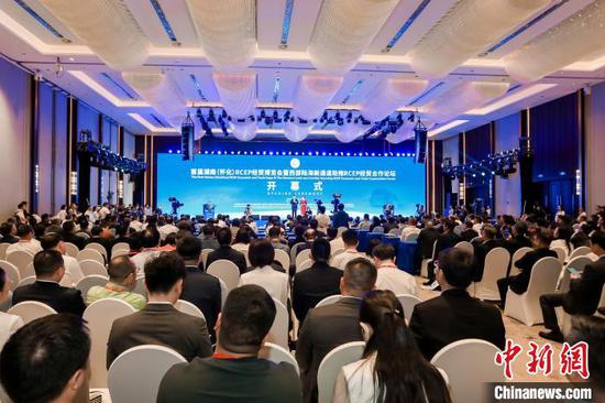 The First Hunan(Huaihua) RCEP Economic and Trade Expo kicks off on Friday in Huaihua, central China's Hunan province. (Photo provided to China News Network)