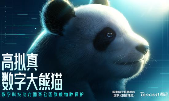 China to release world's 1st hi-fi virtual giant panda