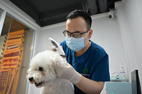 Daily life of vet nurse in Guangxi