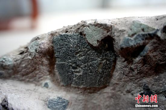 Dinosaur eggs found in Fujian