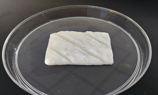 China’s first centimeter-long cultured fish fillets with the help of 3D technology. (Photo: website of Zhejiang University)