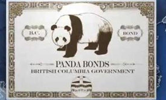 NDB sets new record with 8.5b 'panda bond'