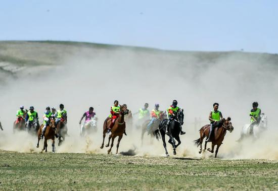 Horse race draws visitors to Xinjiang