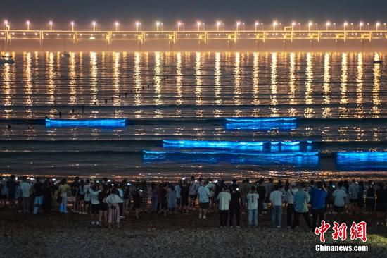 Fluorescent sea water in Dalian draws visitors