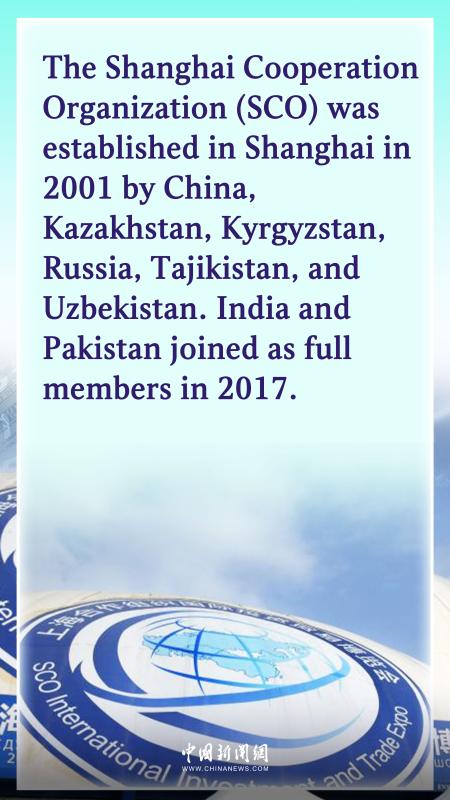 Shanghai Cooperation Organization in Numbers