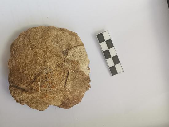 Fossilized human skull fragment discovered at Peking Man site